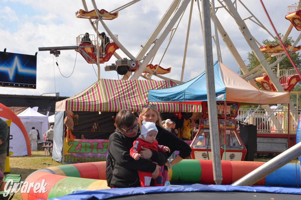 Dożynki przy pałacu. Baciary i wiele atrakcji