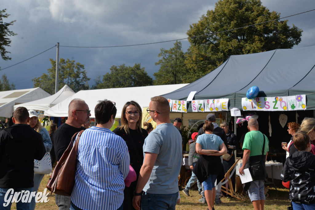 Dożynki przy pałacu. Baciary i wiele atrakcji