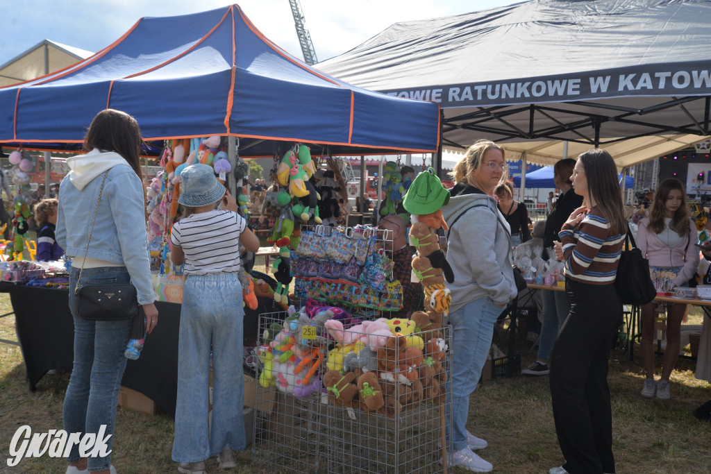 Dożynki przy pałacu. Baciary i wiele atrakcji