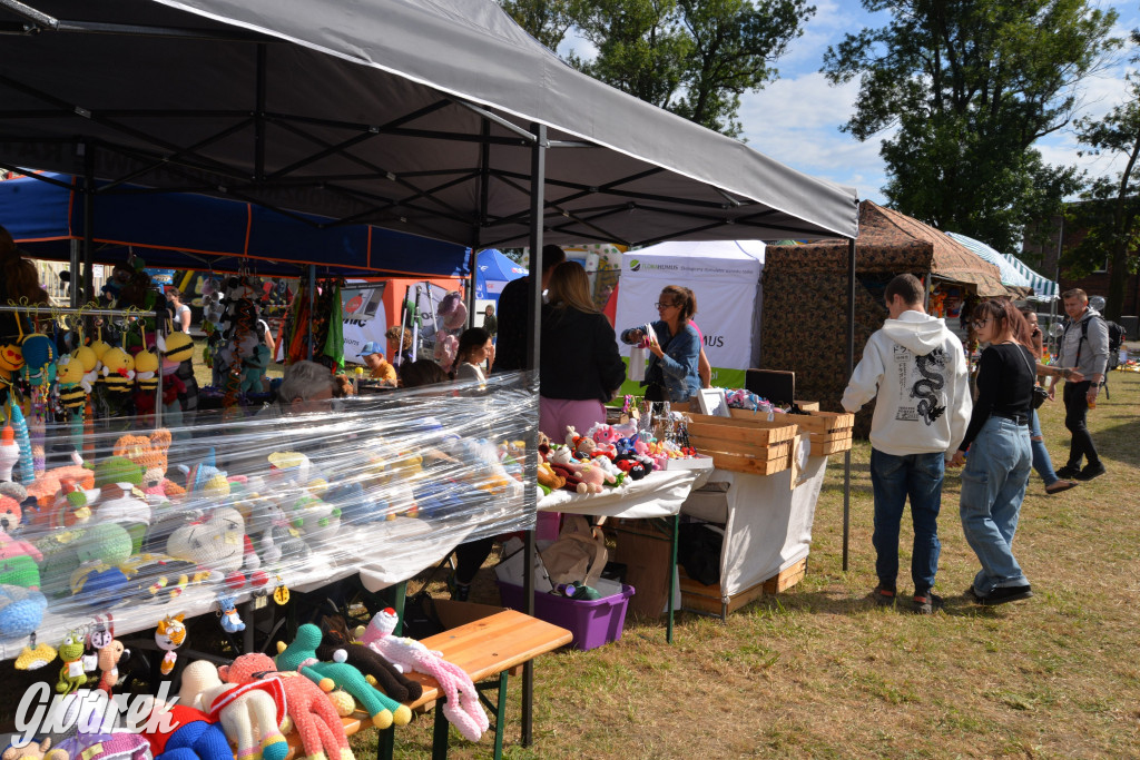 Dożynki przy pałacu. Baciary i wiele atrakcji