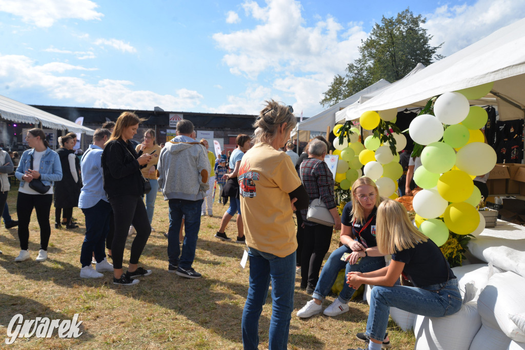 Dożynki przy pałacu. Baciary i wiele atrakcji