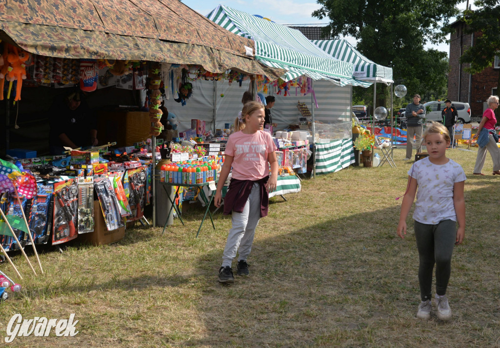 Dożynki przy pałacu. Baciary i wiele atrakcji