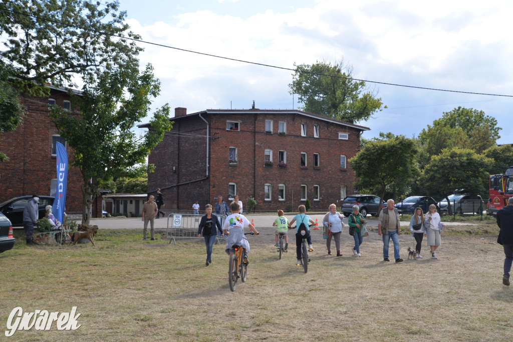 Dożynki przy pałacu. Baciary i wiele atrakcji