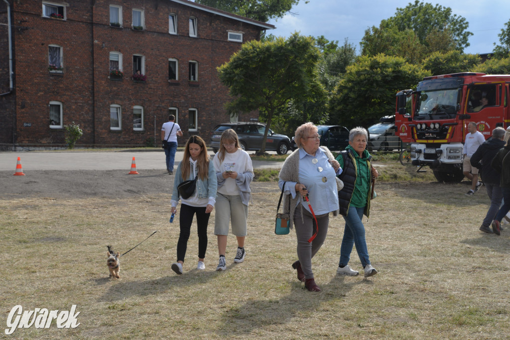 Dożynki przy pałacu. Baciary i wiele atrakcji