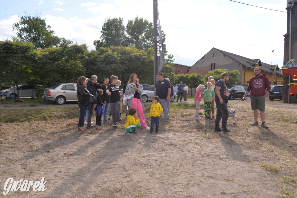 Dożynki przy pałacu. Baciary i wiele atrakcji