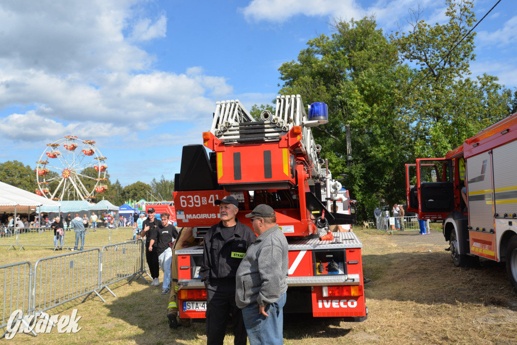 Dożynki przy pałacu. Baciary i wiele atrakcji