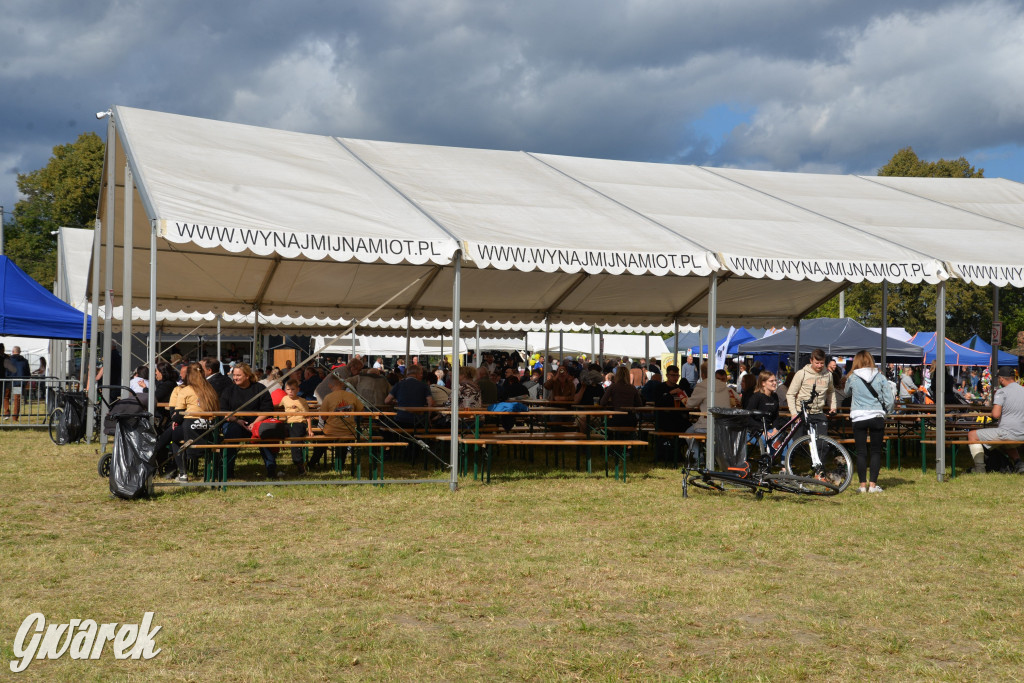 Dożynki przy pałacu. Baciary i wiele atrakcji