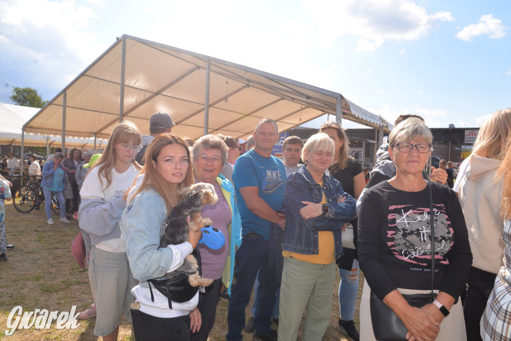 Dożynki przy pałacu. Baciary i wiele atrakcji