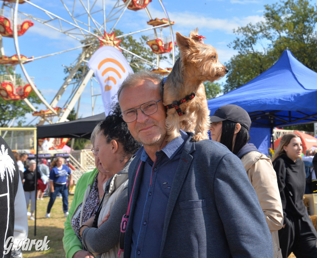 Dożynki przy pałacu. Baciary i wiele atrakcji
