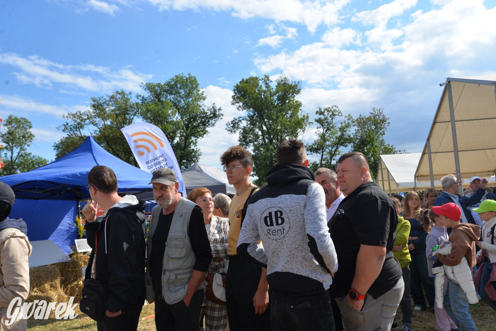 Dożynki przy pałacu. Baciary i wiele atrakcji