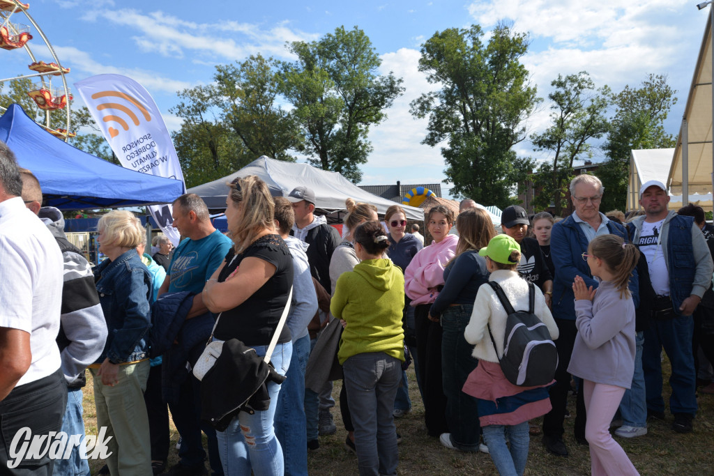 Dożynki przy pałacu. Baciary i wiele atrakcji
