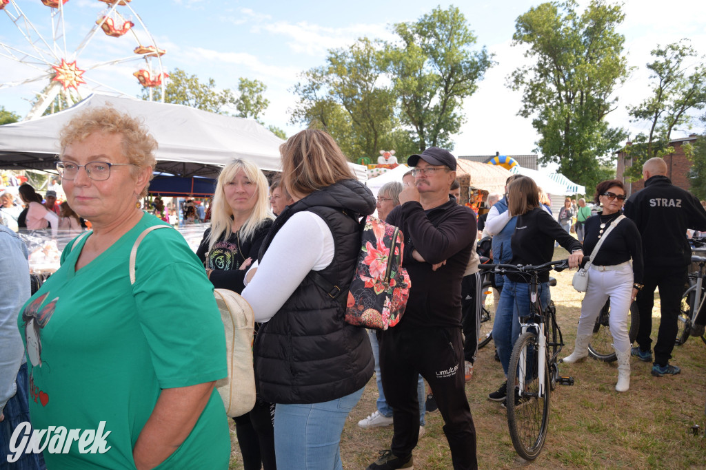 Dożynki przy pałacu. Baciary i wiele atrakcji