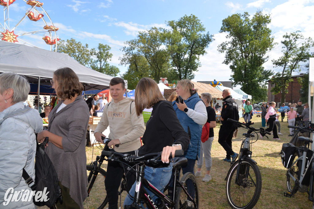 Dożynki przy pałacu. Baciary i wiele atrakcji