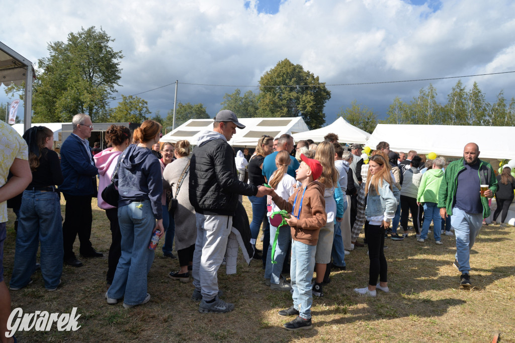 Dożynki przy pałacu. Baciary i wiele atrakcji