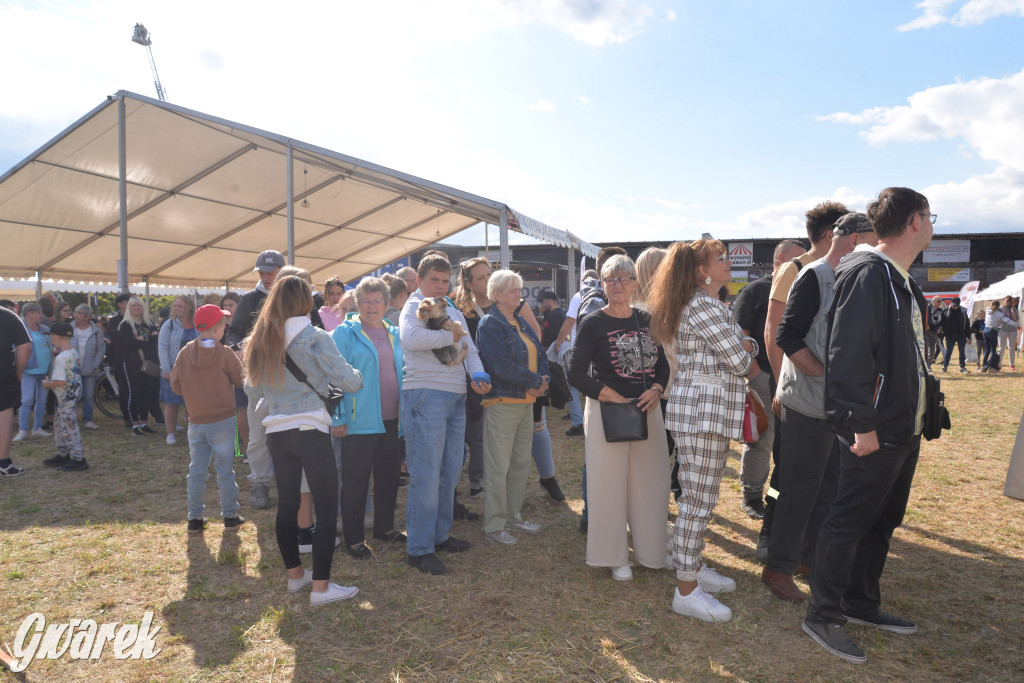 Dożynki przy pałacu. Baciary i wiele atrakcji