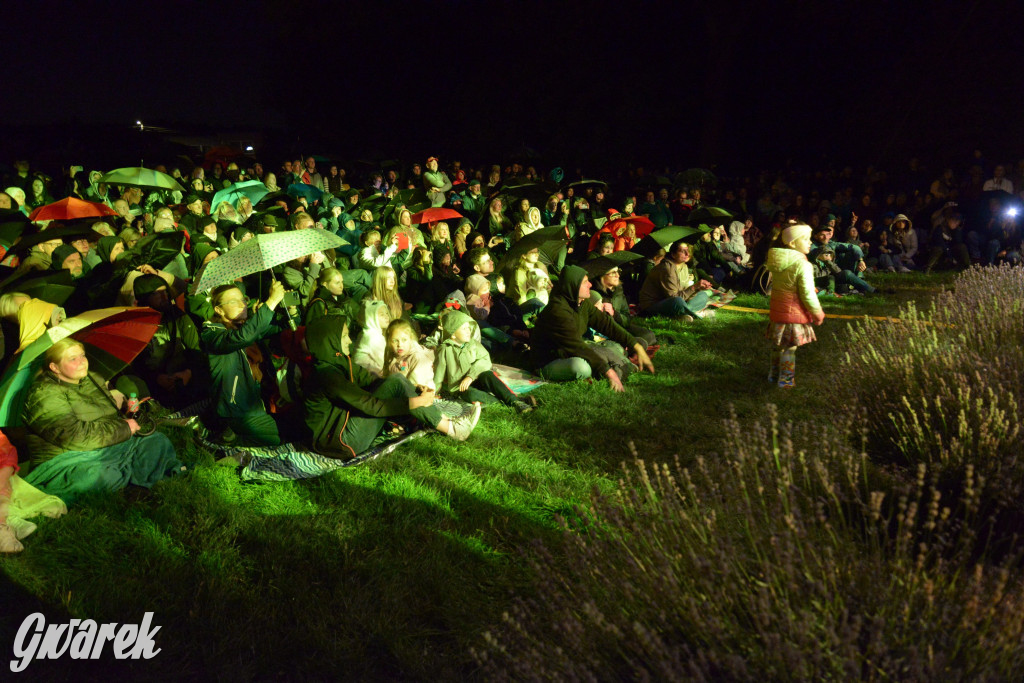 Tarnowskie Góry. Niezawodna orkiestra kamiliańska