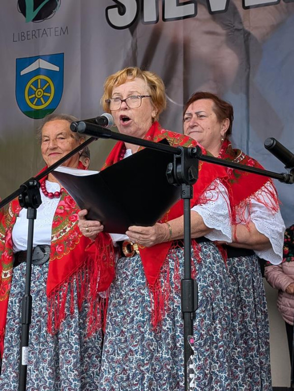 Silver-Run w Ożarowicach. Seniorzy na trasie