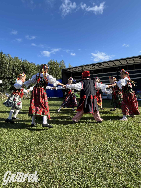 Miedary bawiły się całą sobotę