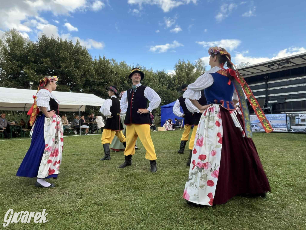 Miedary bawiły się całą sobotę