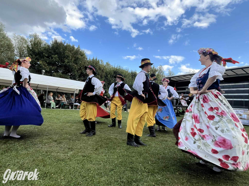 Miedary bawiły się całą sobotę