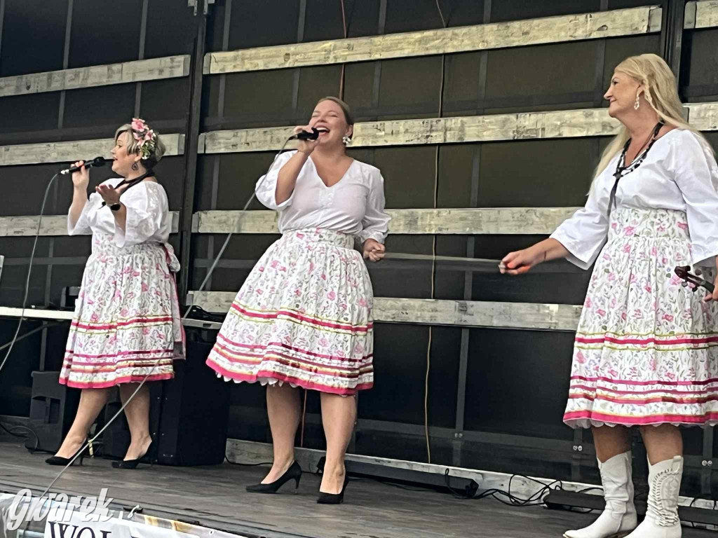 Miedary bawiły się całą sobotę