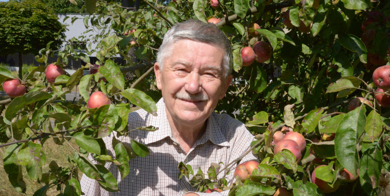 Owocobranie w Tarnowskich Górach