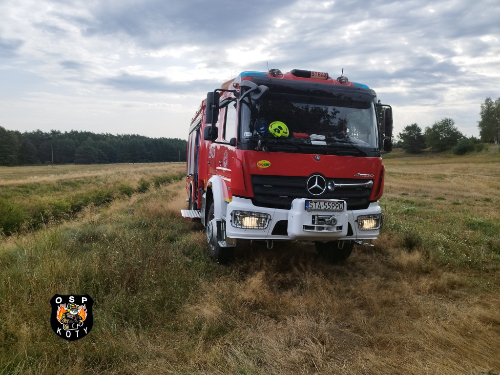 Powiat tarnogórski. Silny wiatr i konar na trzech autach