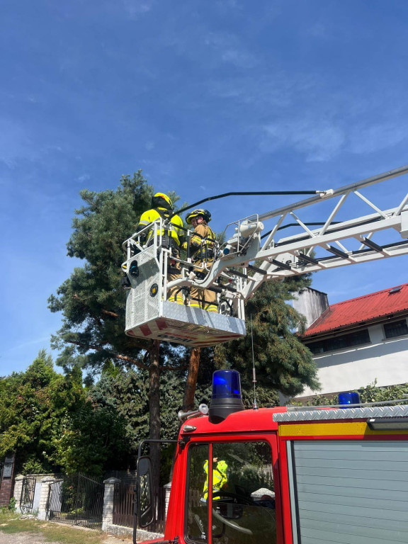 Powiat tarnogórski. Silny wiatr i konar na trzech autach
