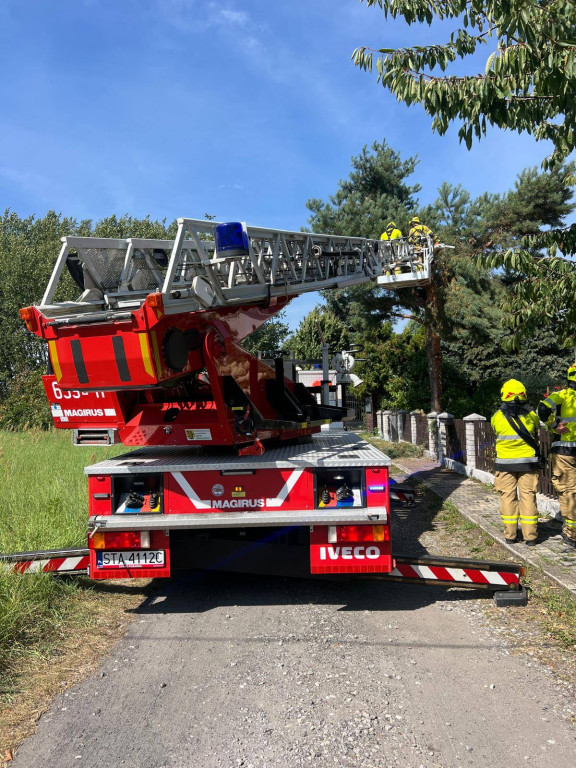 Powiat tarnogórski. Silny wiatr i konar na trzech autach