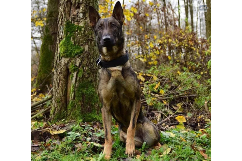 Tarnowskie Góry. Neta przeszła na emeryturę