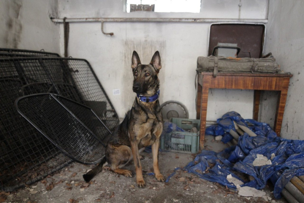 Tarnowskie Góry. Neta przeszła na emeryturę