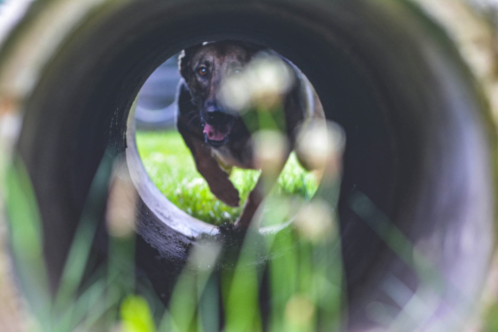 Tarnowskie Góry. Neta przeszła na emeryturę