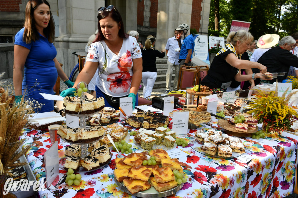 Świerklaniec. Dożynki w parku, pyszności przed pałacem