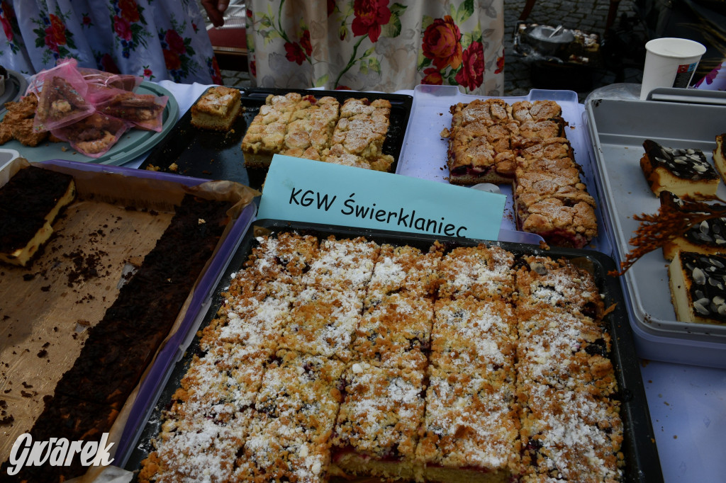 Świerklaniec. Dożynki w parku, pyszności przed pałacem