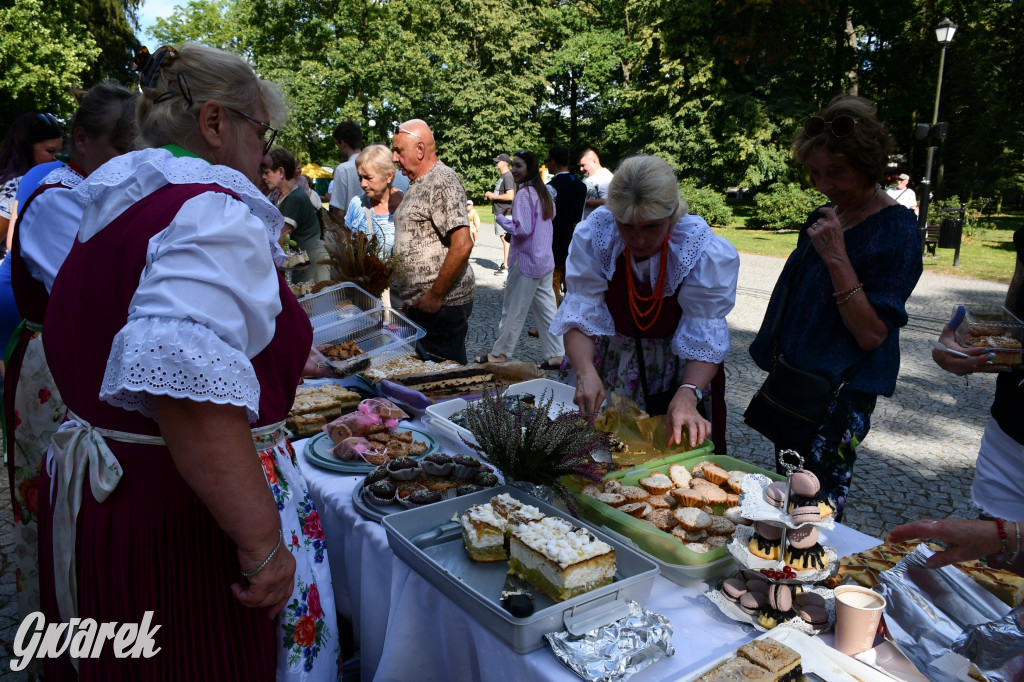 Świerklaniec. Dożynki w parku, pyszności przed pałacem