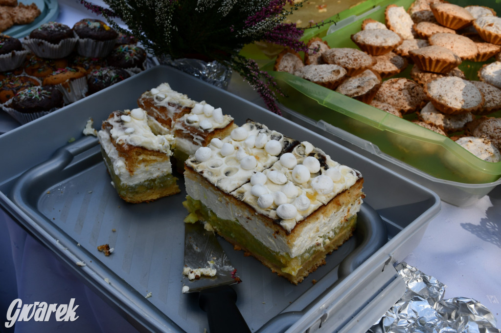 Świerklaniec. Dożynki w parku, pyszności przed pałacem