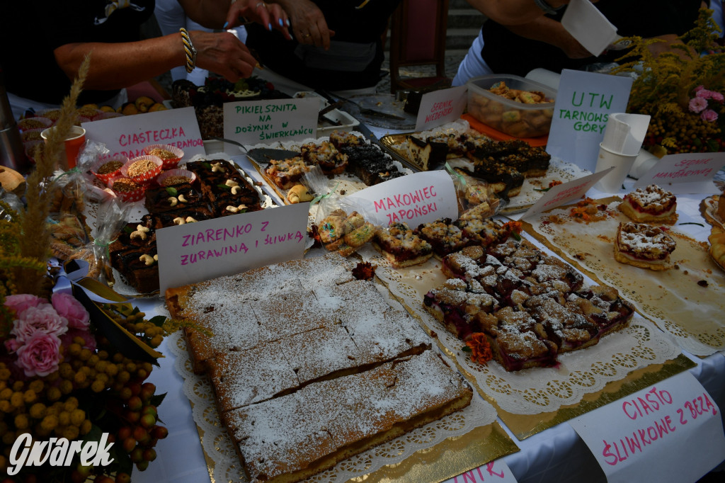 Świerklaniec. Dożynki w parku, pyszności przed pałacem