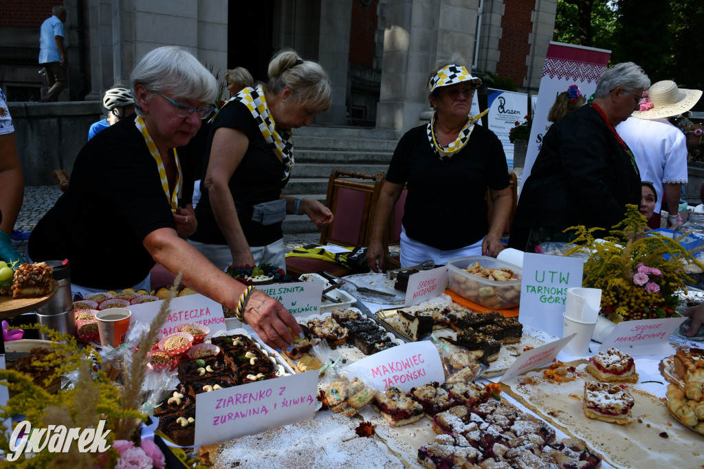 Świerklaniec. Dożynki w parku, pyszności przed pałacem