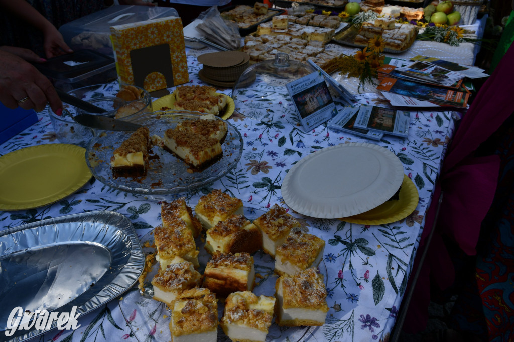 Świerklaniec. Dożynki w parku, pyszności przed pałacem