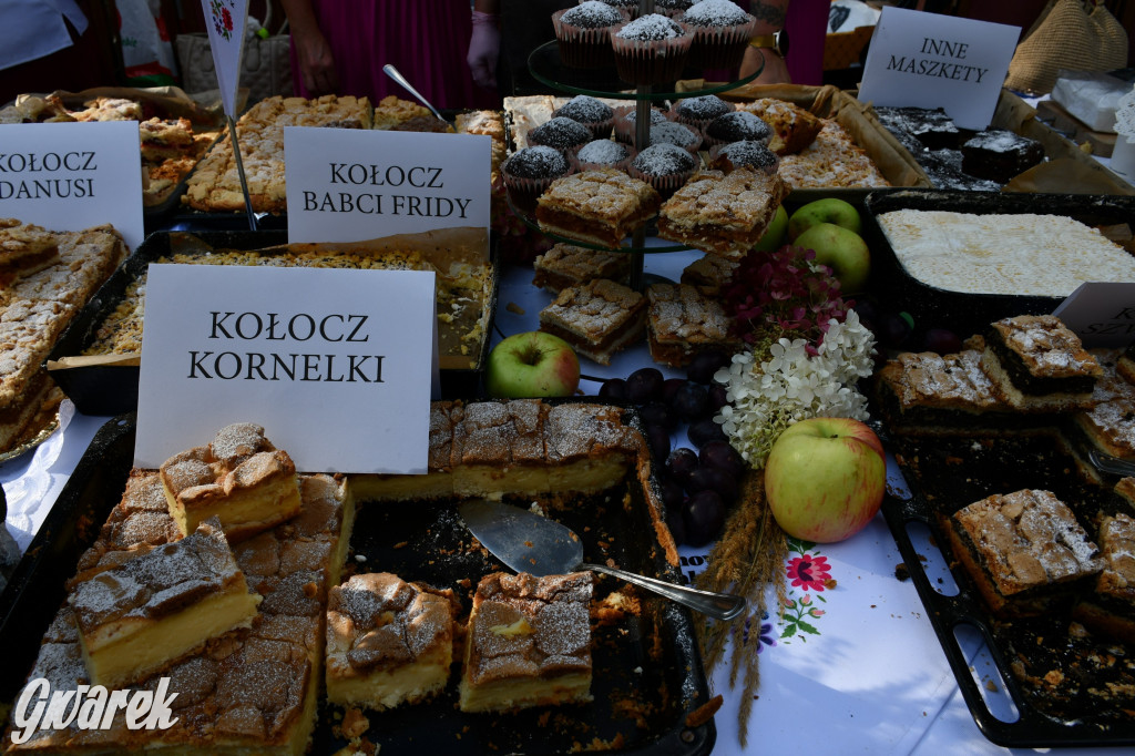 Świerklaniec. Dożynki w parku, pyszności przed pałacem