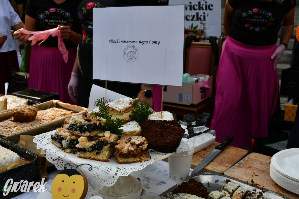 Świerklaniec. Dożynki w parku, pyszności przed pałacem