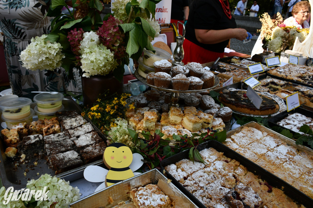 Świerklaniec. Dożynki w parku, pyszności przed pałacem