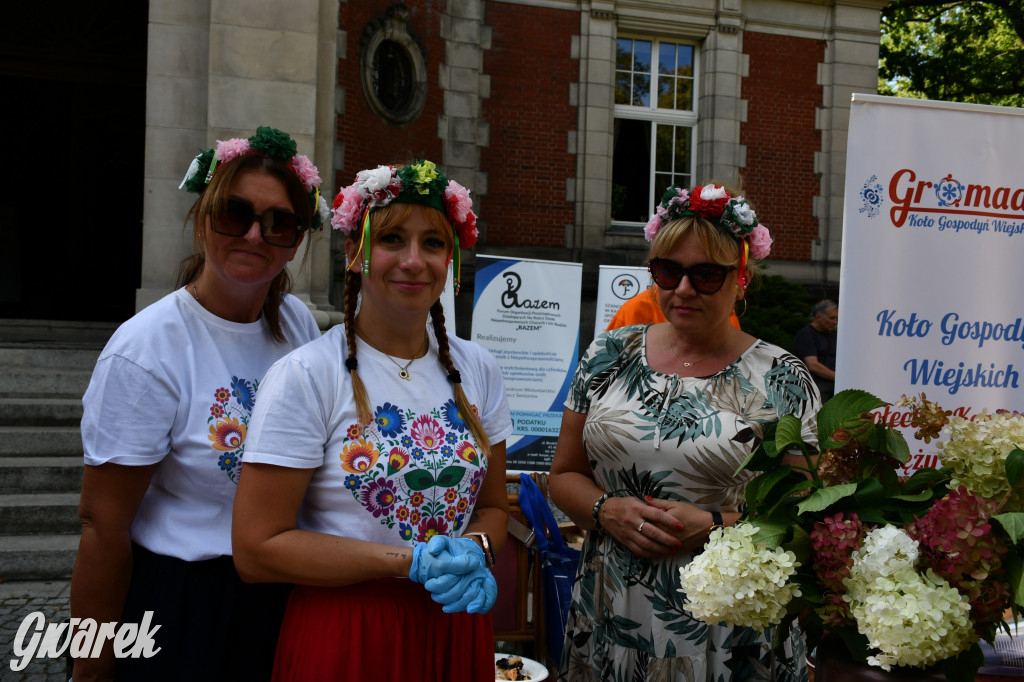 Świerklaniec. Dożynki w parku, pyszności przed pałacem