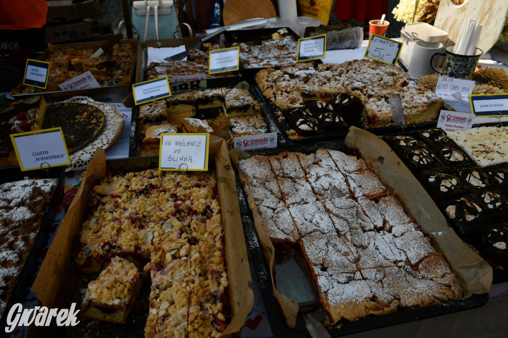 Świerklaniec. Dożynki w parku, pyszności przed pałacem