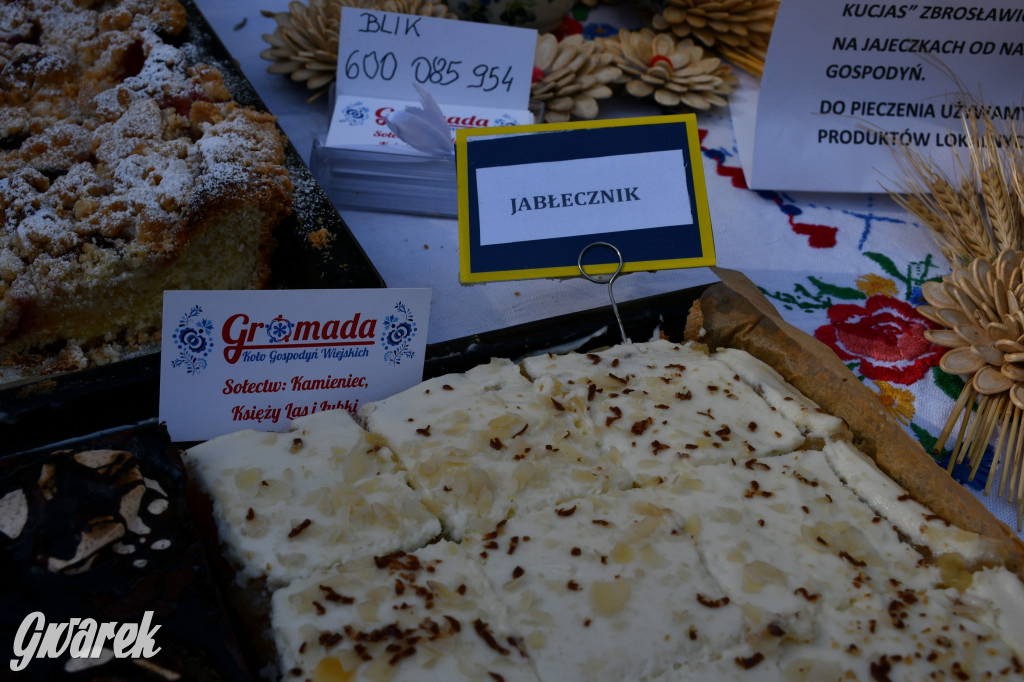 Świerklaniec. Dożynki w parku, pyszności przed pałacem