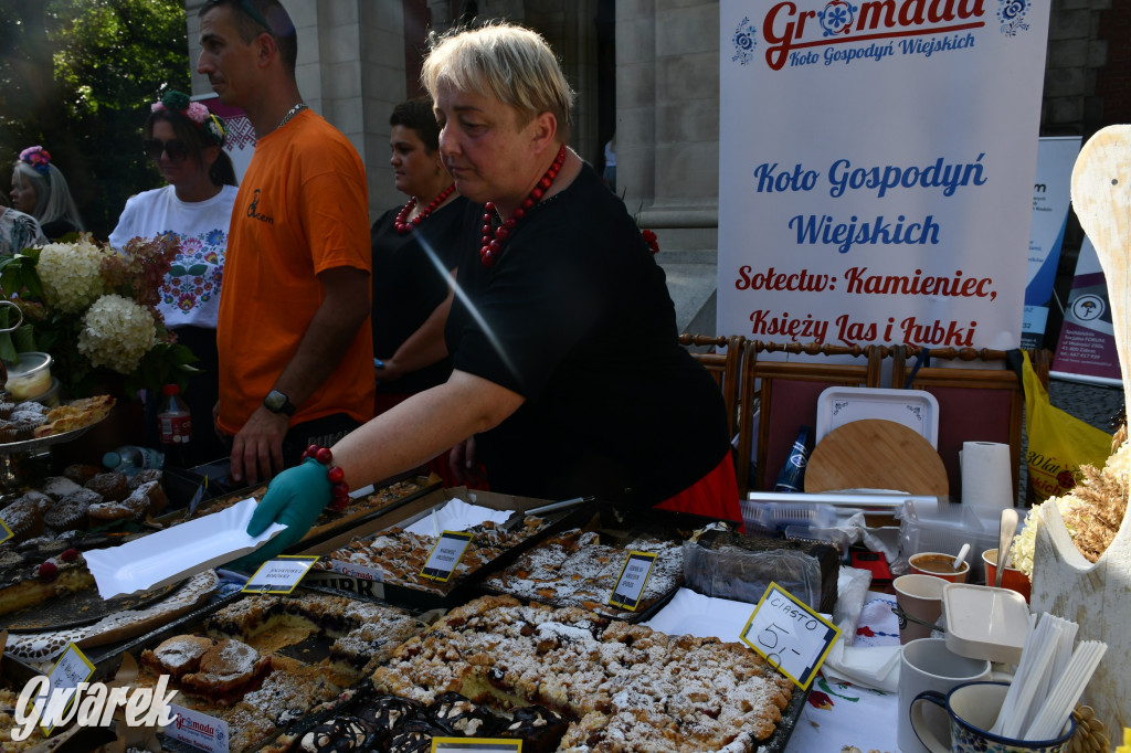 Świerklaniec. Dożynki w parku, pyszności przed pałacem