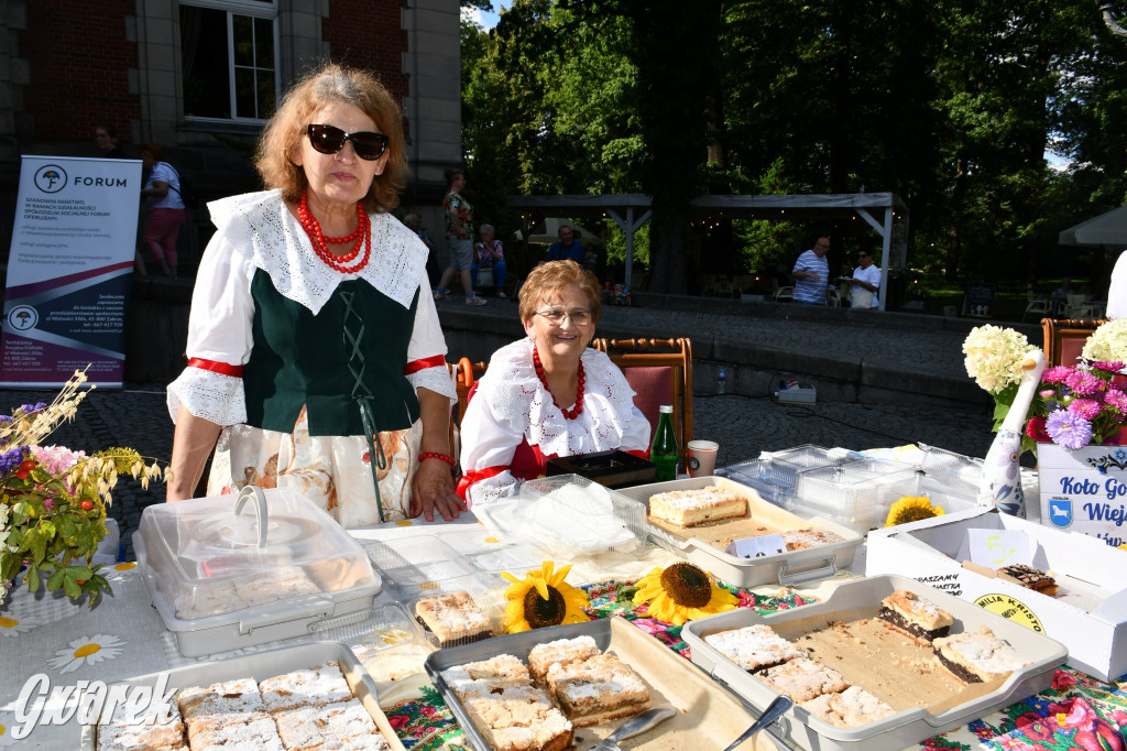 Świerklaniec. Dożynki w parku, pyszności przed pałacem