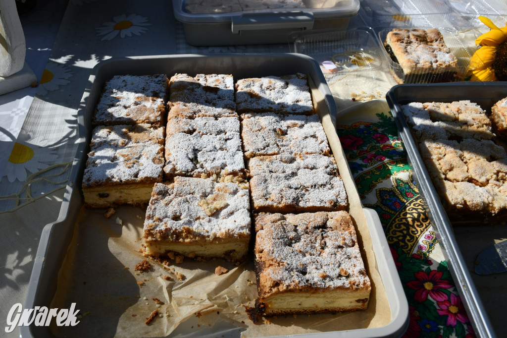 Świerklaniec. Dożynki w parku, pyszności przed pałacem