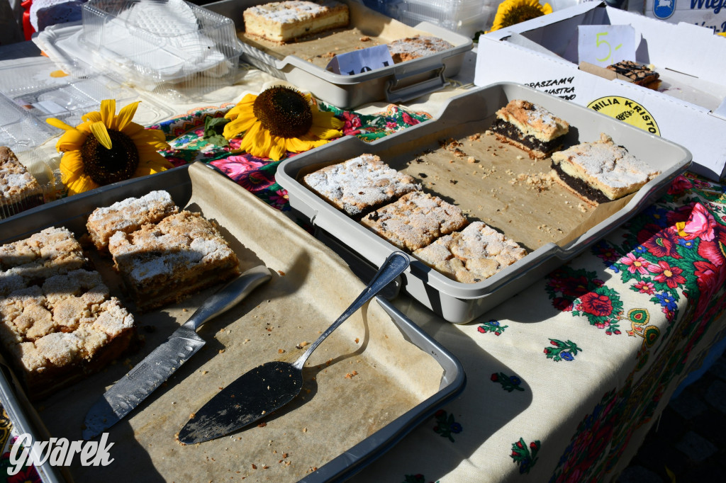 Świerklaniec. Dożynki w parku, pyszności przed pałacem