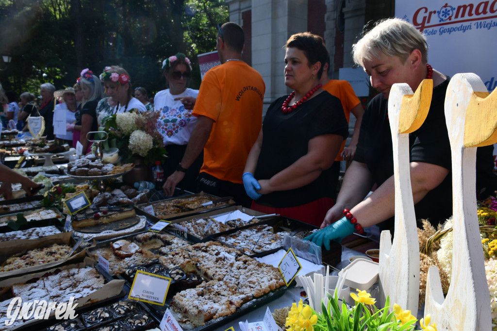 Świerklaniec. Dożynki w parku, pyszności przed pałacem